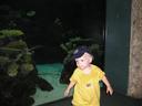 19 months - at the aquarium.jpg